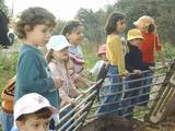 children visiting the sheep