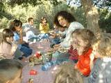 picnic underneath the trees