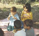 snack break under the trees