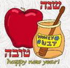 אין הדבר תלוי אלא BE