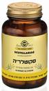 Scutellariae סקוטלריה (50 כמוסות) - סולגאר - מבצע אביב 30% הנחה
