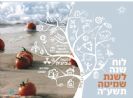 לוח שנה לשנת שמיטה