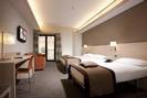 iQ Hotel Roma