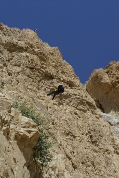 סנפלינג