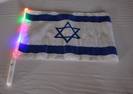 Israeli Flag with color changing bar