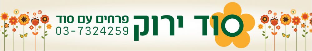 סוד ירוק- כל הסודות