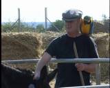 David the clown in Ayia Napa Cyprus, at Jimmy the boss farm with Jimmy Parrot