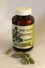 מורינגה ערבה Moringa