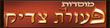 פעולת צדיק