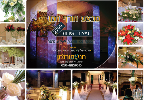 עיצוב מודעה לפרסומות